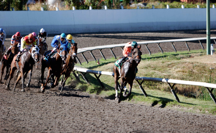 喜士定馬場大規模拘捕案有卑詩省府官員涉案