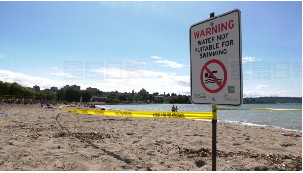 溫哥華基斯蘭奴海灘因大腸桿菌超標要再次關閉