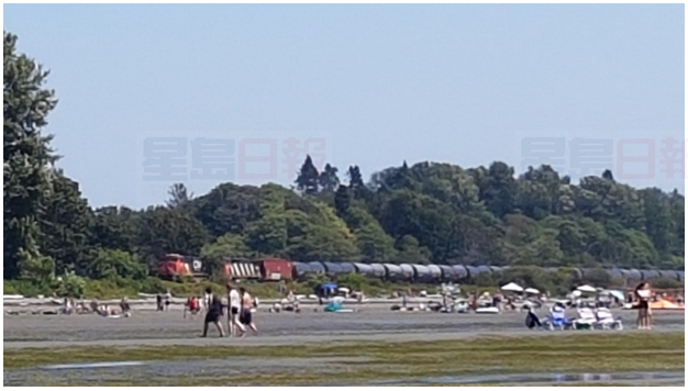 白石鎮男子為救兩隻狗被火車撞傷