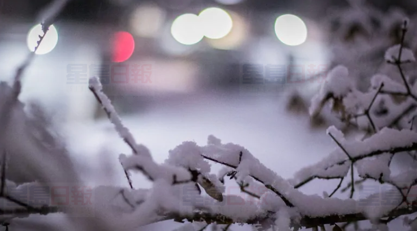環境部預測卑詩東北部周六晚下大雪
