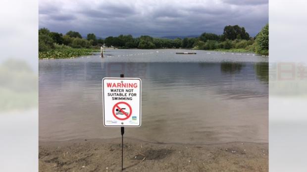 溫哥華鱒魚湖已經重開