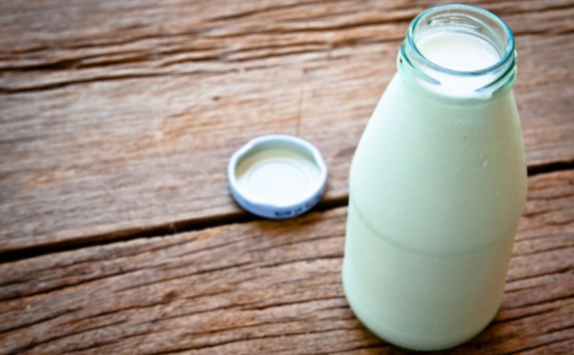 要身體保持更多水份 飲奶比飲水佳