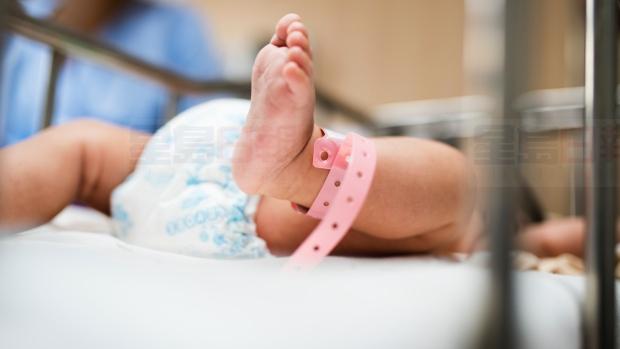 雙非嬰暴增   去年加拿大生育旅遊成長13%