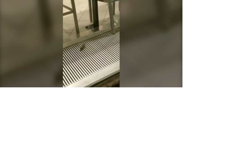 福樂雞首間加拿大分店周五開業