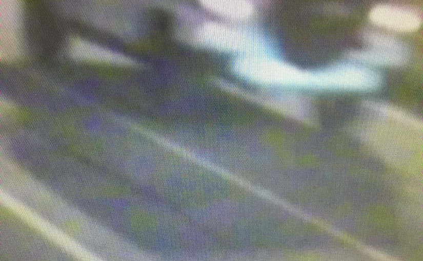 溫哥華街頭怒火事件 警緝兩司機