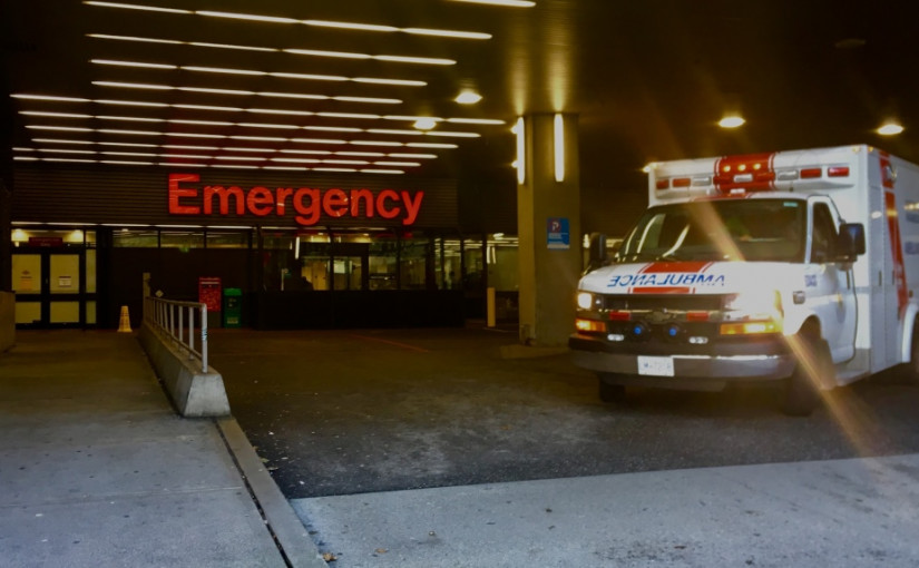 溫哥華女子與寵物犬遭鬥牛㹴襲擊受傷