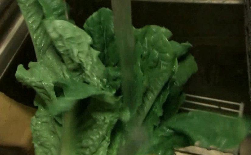 紐省確診大腸桿菌周末急增2人至24宗病例