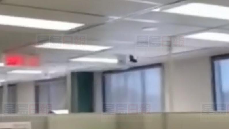 政府大樓蟲患問題嚴重 臭蟲 蟑螂 蝙蝠都搵到