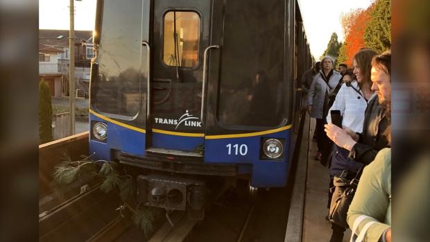 強風吹倒樹枝 世博線天車一度受影響