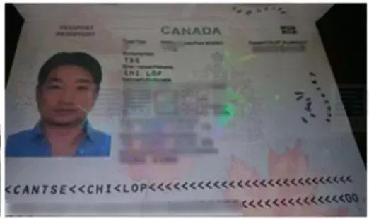 加拿大華裔男子成亞洲新毒王  曾一晚賭輸6600萬元