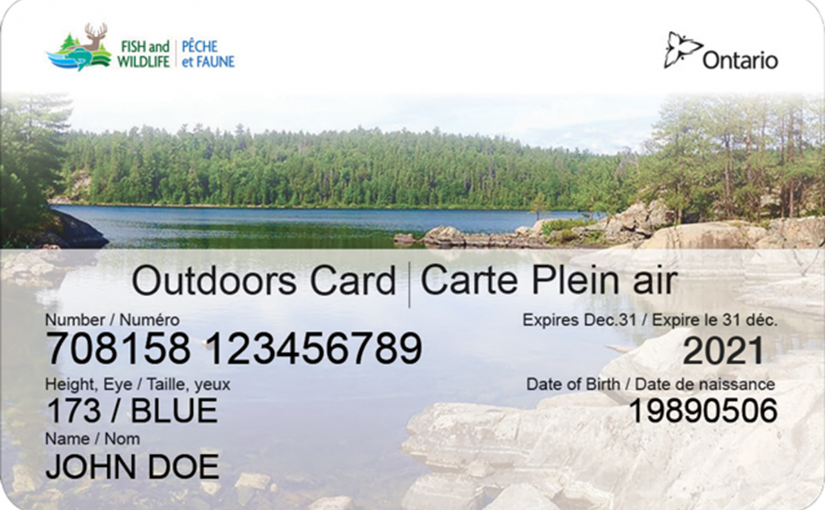 家庭日長周末免牌釣魚