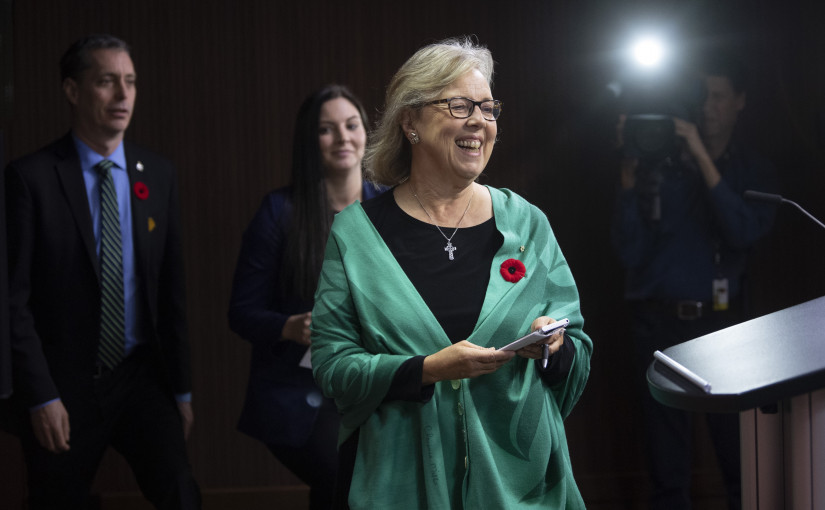 美薏卸任聯邦綠黨黨領  將交棒新人