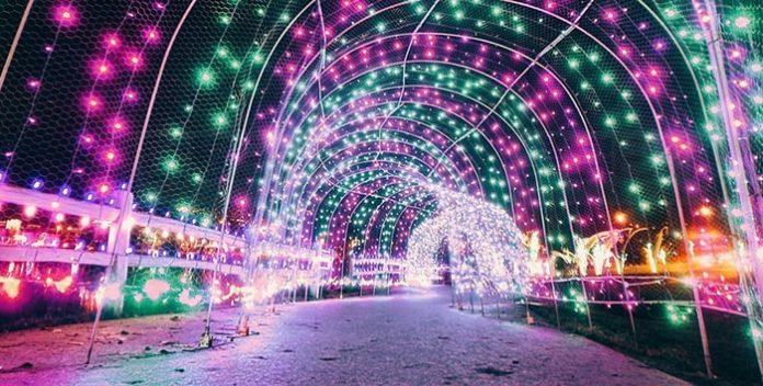 從本周起  大溫有多項免費聖誕好玩活動