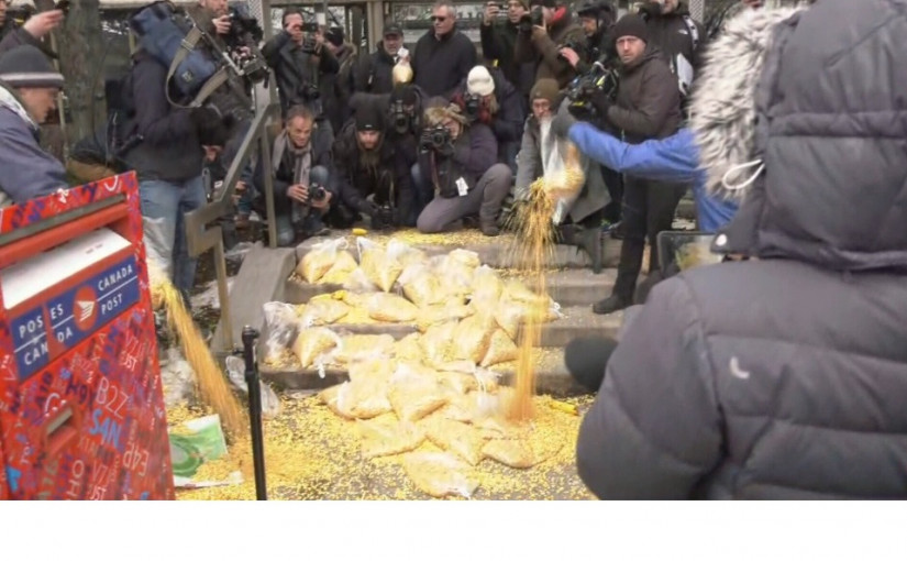 農民向總理表達不滿的方式：選區辦公室門前傾倒玉米