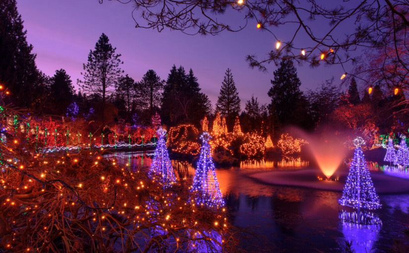 植物公園燈光展 助病童願望成真