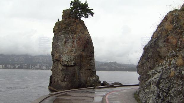 溫市央丹利公園部分海傍緩跑徑將關閉約10天