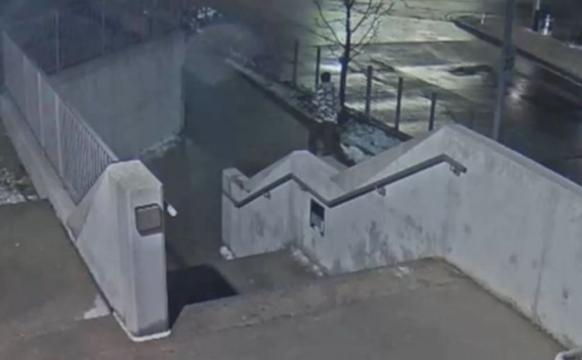 30餘歲男涉嫌同日襲擊兩女子遭警追緝