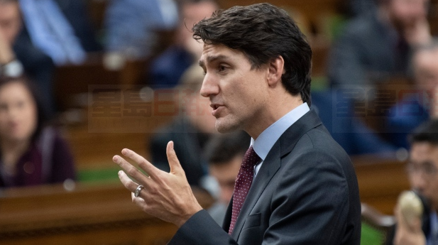 小杜支持城市禁槍 稱不會讓省府阻撓