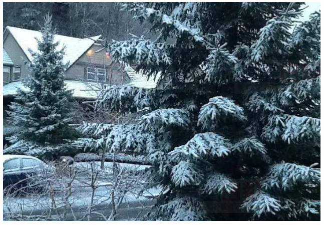 大溫與菲沙河谷踏入12月便下雪