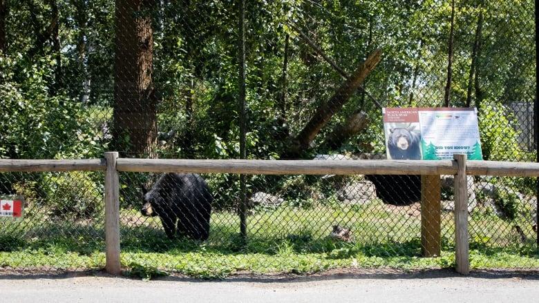 有報告批評大溫哥華動物園的設施