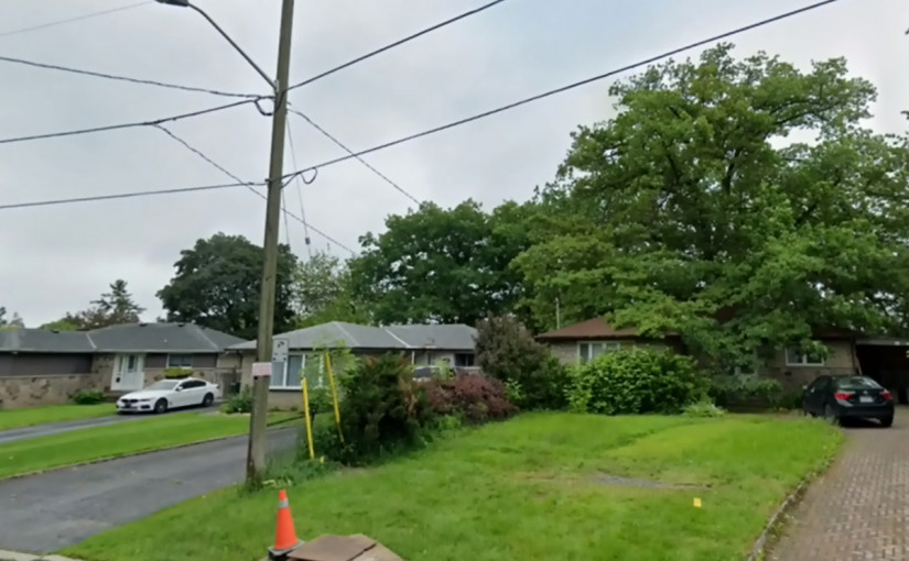 多市政府決定收購物業再花近百萬保育370歲紅橡樹