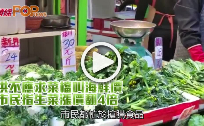 供不應求菜檔叫海鮮價  市民指生菜漲價翻4倍