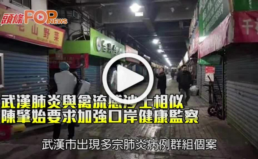 武漢肺炎與禽流感沙士相似 陳肇始要求加強口岸健康監察