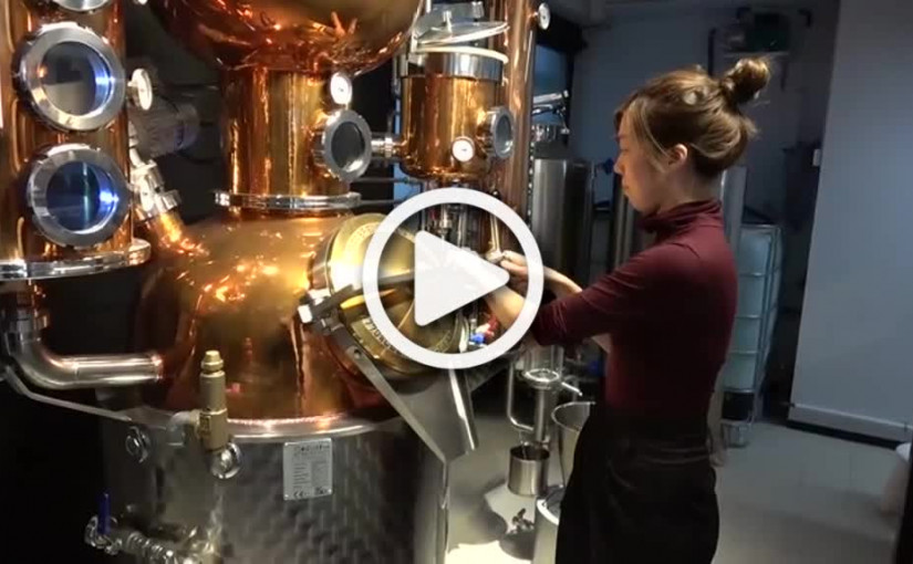 職人誌  我是香港人  我們為理想開香港首間Gin酒廠