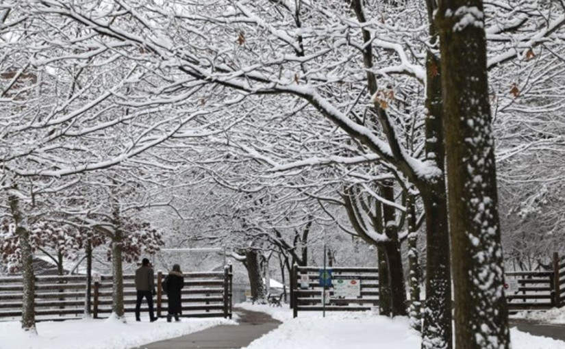 天氣影響 皮爾區夜校停課