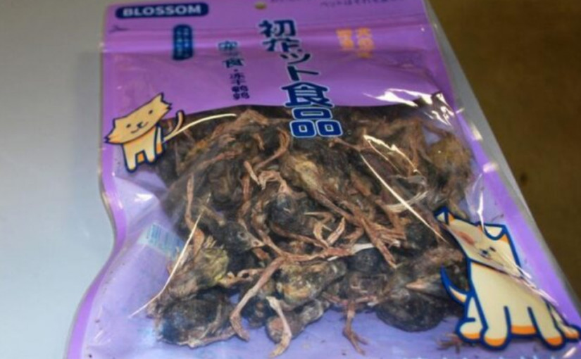 新冠肺炎加禽流感疫情下 中國旅客被發現帶不知名雀屍入美國