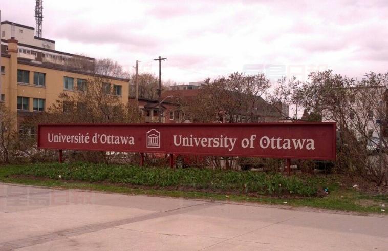 渥大學生周末自殺  2.8萬人聯署促增資源正視心理健康