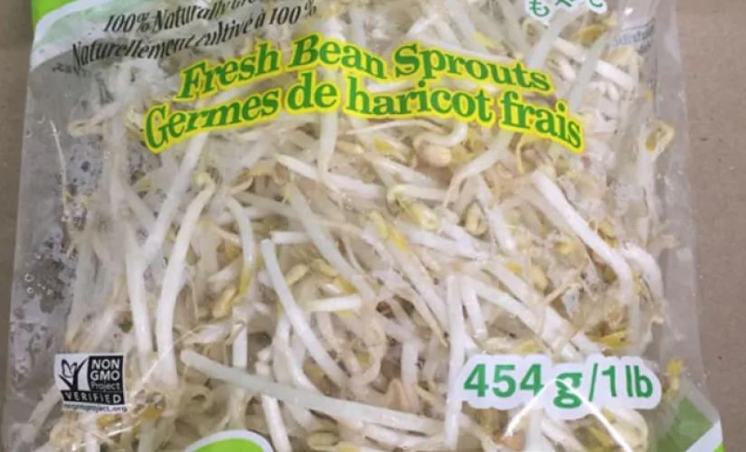 鮮豆芽疑受沙門氏菌污染 被召回