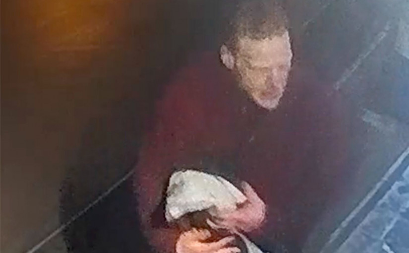 警方尋盜水上飛機男子