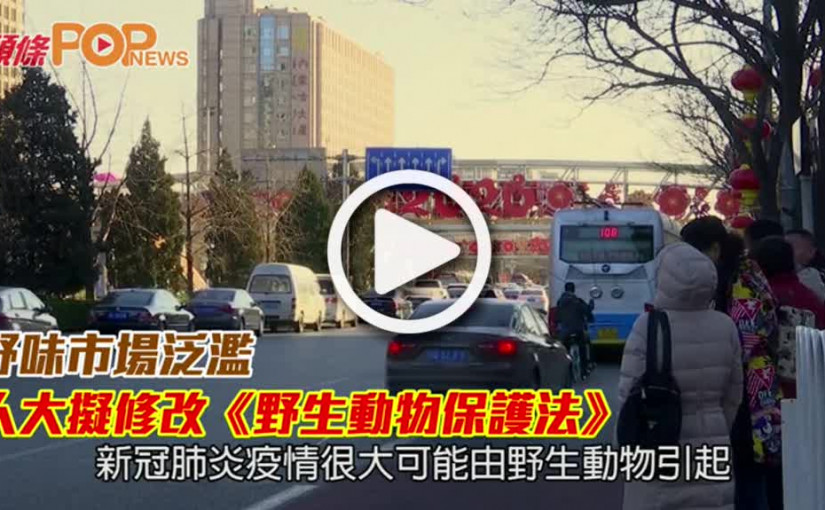 人大因野味市場泛濫  擬修改《野生動物保護法》