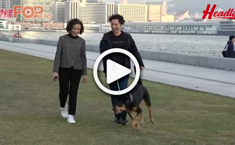 善待動物Betsy & Wallaby