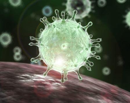 1名加人於日本死於新冠肺炎併發症