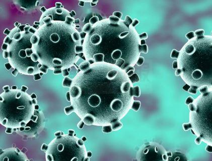 亞省確診增至542宗 現限制聚會人數至15人