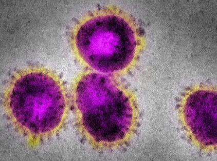 安省截至周五早上再有50人感染新冠肺炎