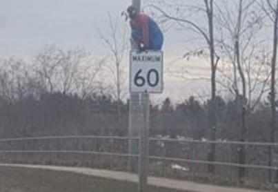 男子扮蜘蛛俠爬上路牌 警指無犯法未作行動