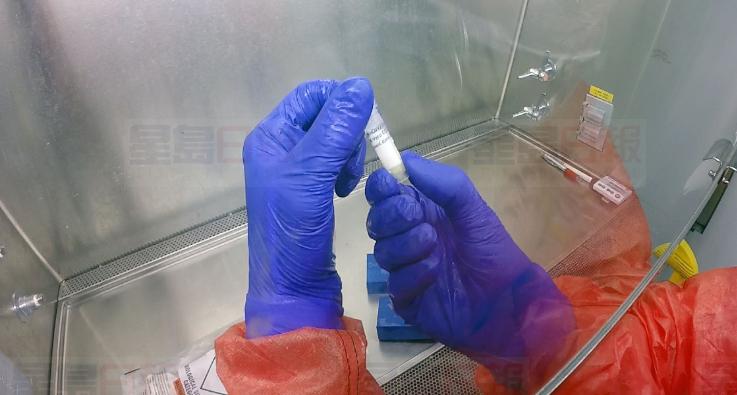 沙省首宗感染新冠肺炎 患者曾到過埃及旅遊