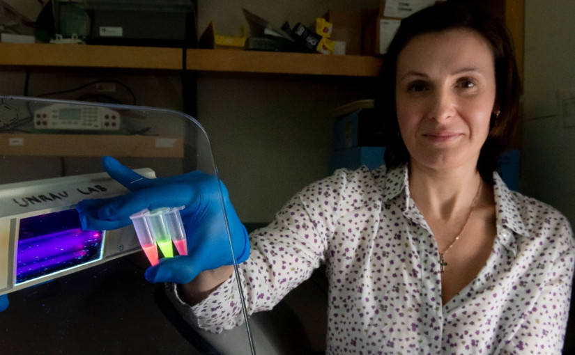 SFU研究團隊研發RNA顯影技術測試新冠狀病毒