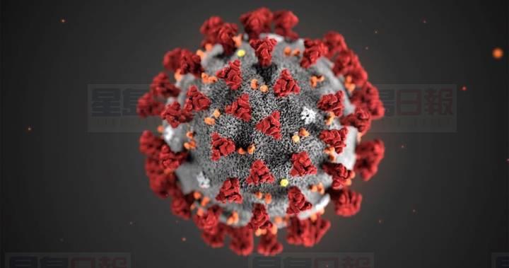 加拿大出現首宗因新冠病毒死亡案  卑詩省一死