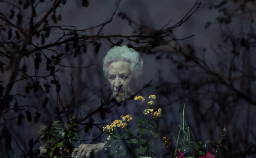 從中國疫情的數據研究   來看加拿大的疫情發展