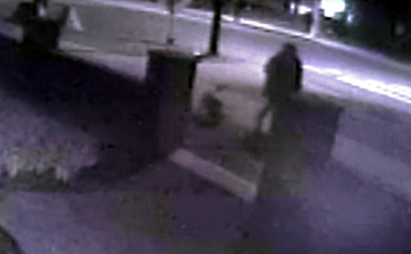 二埠女子神秘失蹤一星期 失蹤前曾出外遛狗