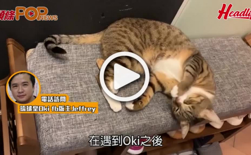 善待動物Jeffrey、Crystal與  貓貓Oki、Nala & Nago