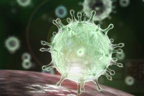 新斯高沙省錄首宗染疫死亡病例