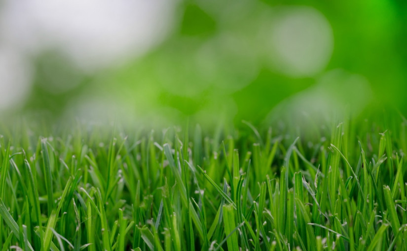 溫哥華夏季限水令5月1日起實施