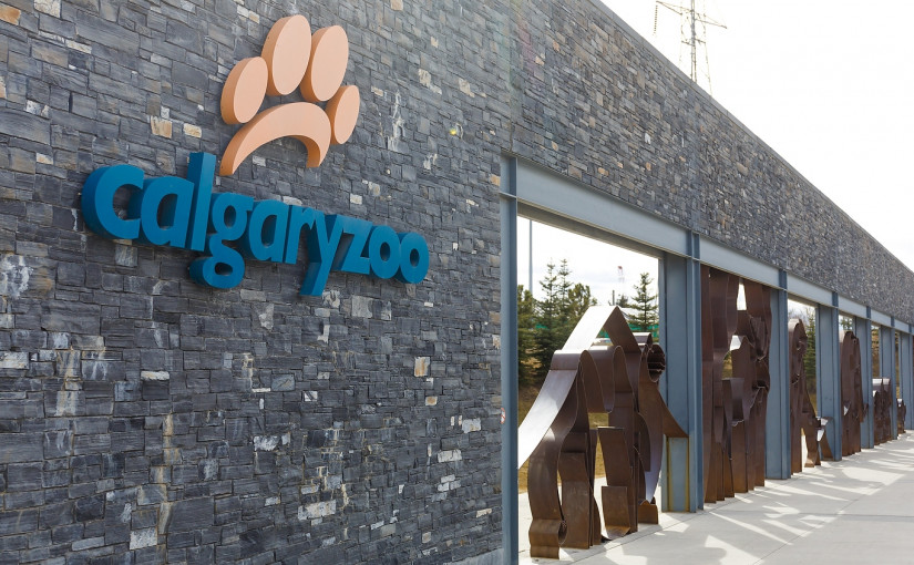 卡城動物園捐贈了12,000張門票給前線工作人員