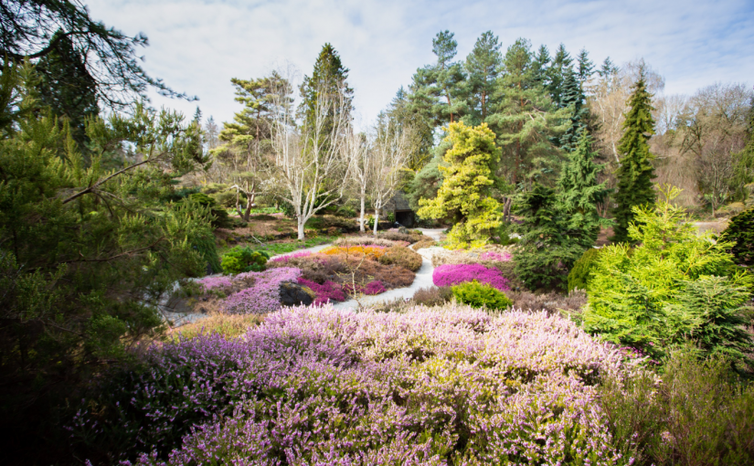 溫哥華植物園及兩間市屬高爾夫球場本周重開