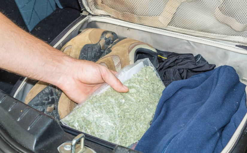 疫情需要去美國醫院幫忙   安省護士攜150磅大麻過境被拘捕